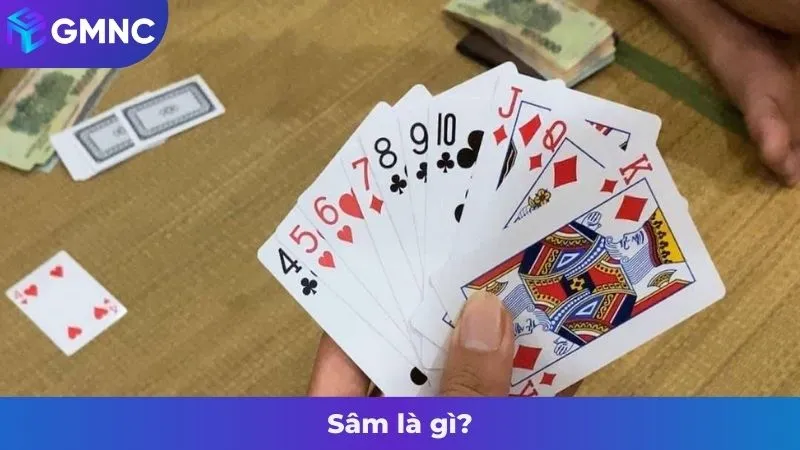 Sâm là gì?